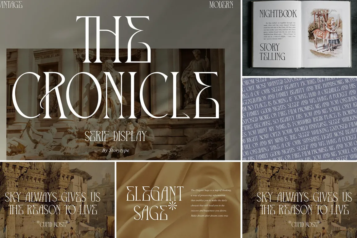 SALE! Modern & Classy Serif Font