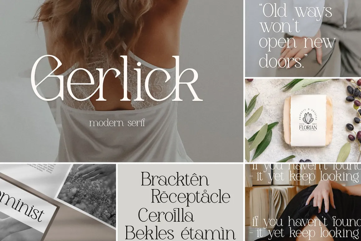 SALE! Modern & Classy Serif Font