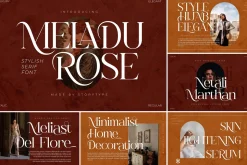 SALE! Modern & Classy Serif Font