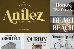 SALE! Modern & Classy Serif Font
