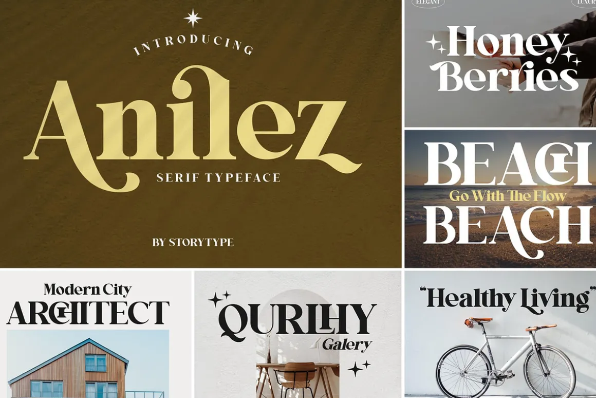 SALE! Modern & Classy Serif Font
