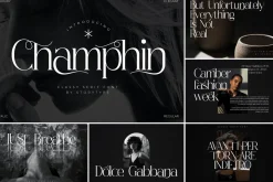 SALE! Modern & Classy Serif Font