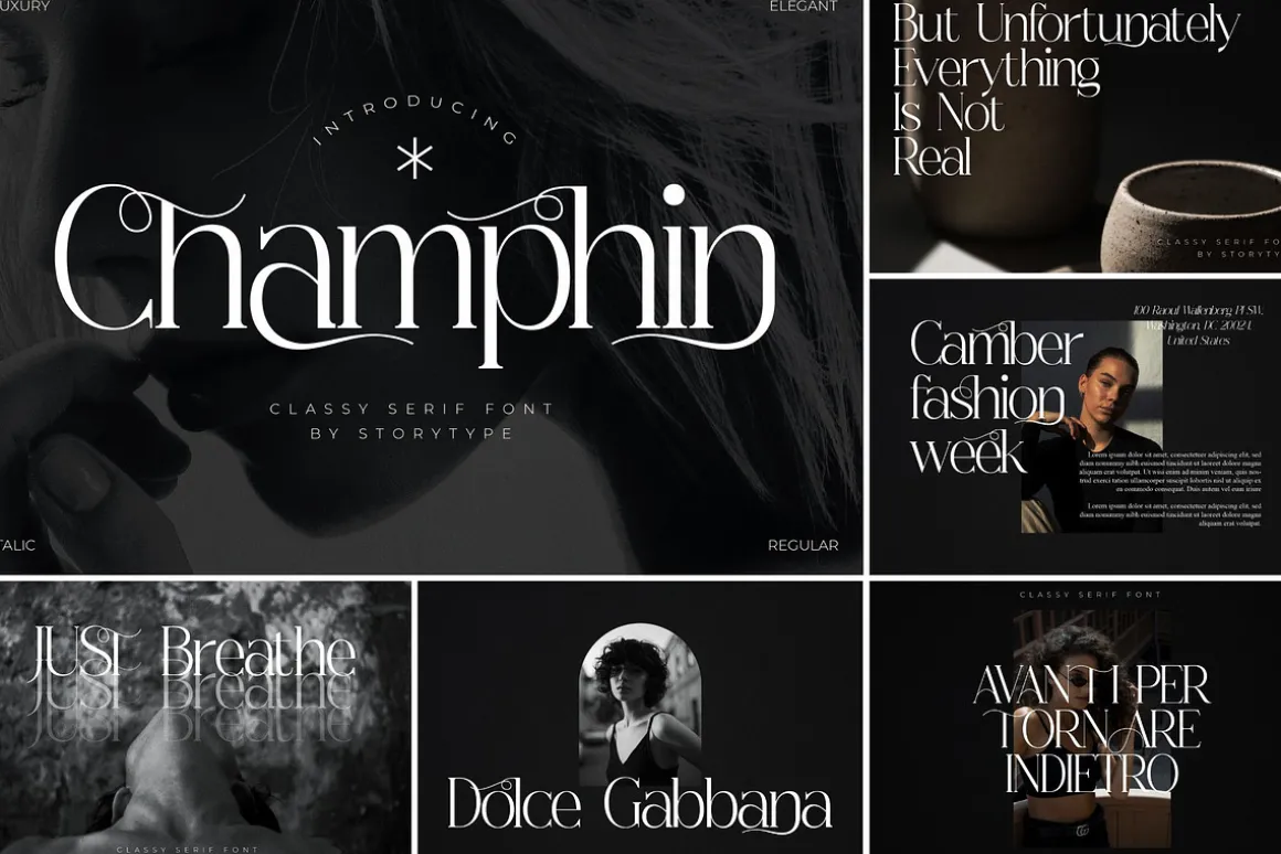 SALE! Modern & Classy Serif Font