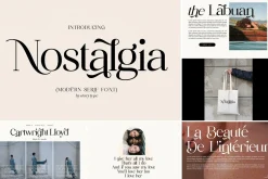 SALE! Modern & Classy Serif Font