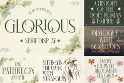 SALE! Modern & Classy Serif Font