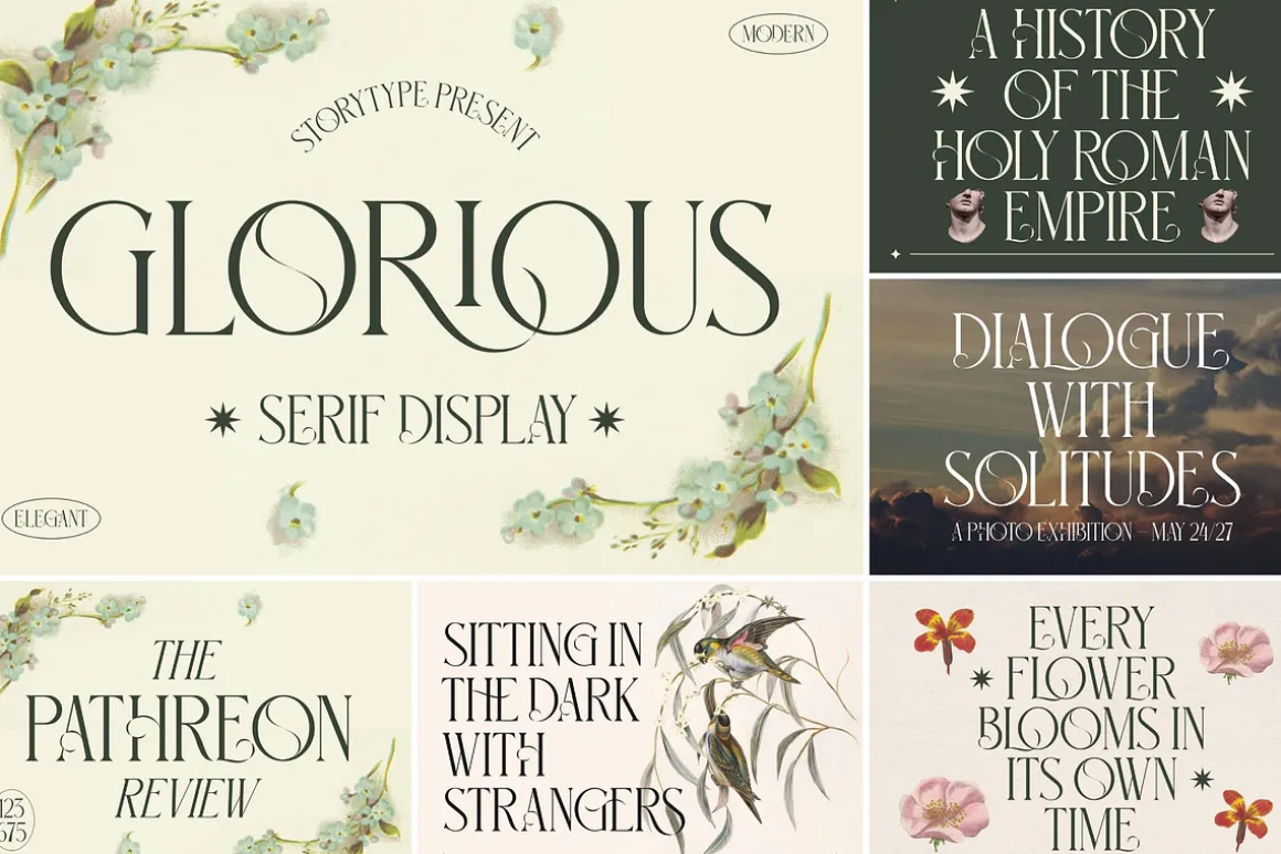 SALE! Modern & Classy Serif Font