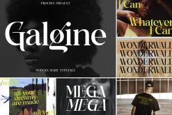 SALE! Modern & Classy Serif Font