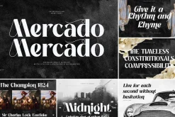 SALE! Modern & Classy Serif Font