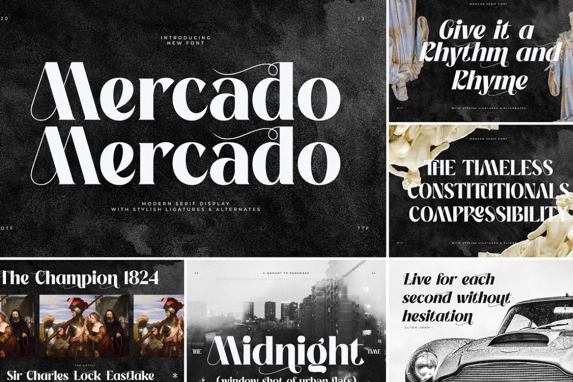 SALE! Modern & Classy Serif Font