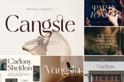 SALE! Modern & Classy Serif Font