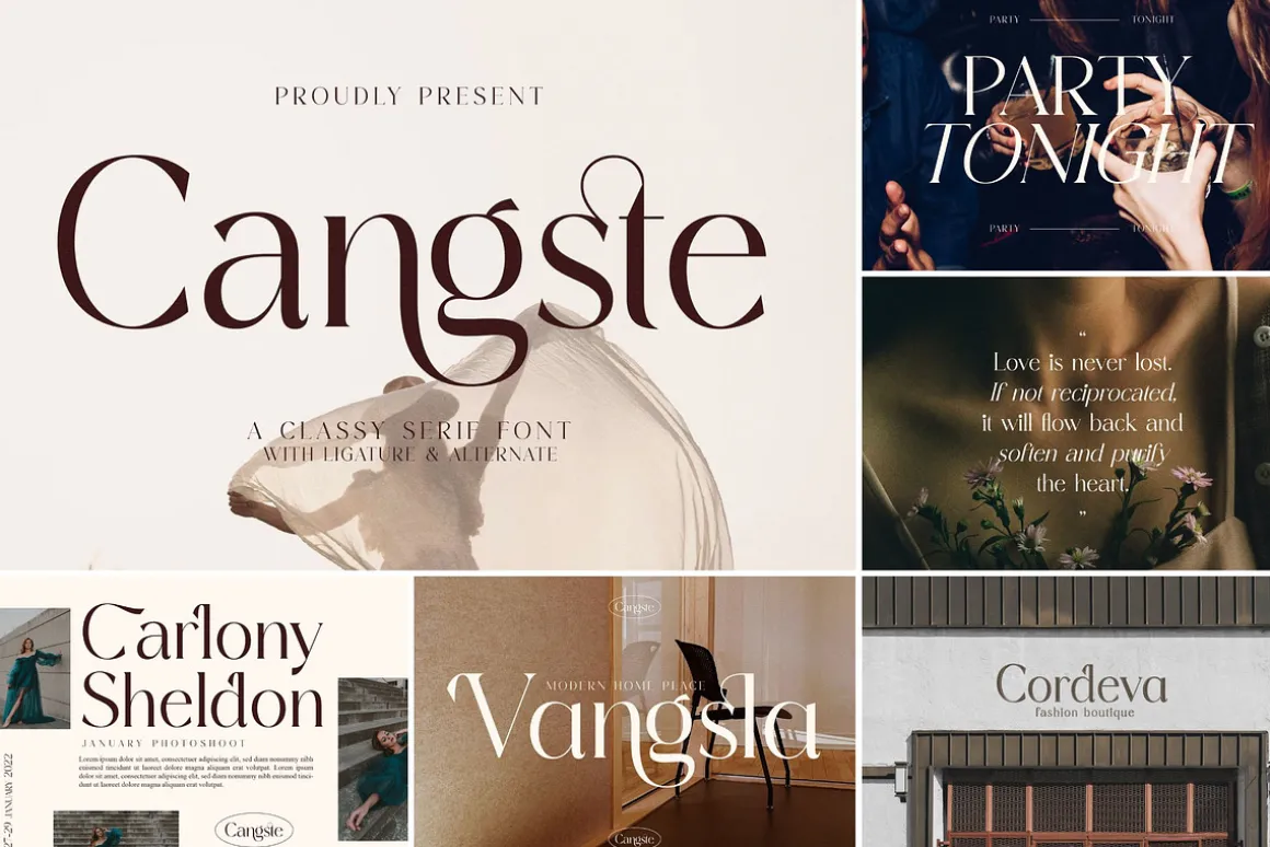 SALE! Modern & Classy Serif Font