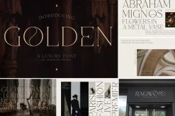 SALE! Modern & Classy Serif Font