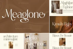 SALE! Modern & Classy Serif Font