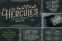 SALE! Modern & Classy Serif Font