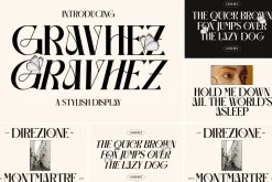 SALE! Modern & Classy Serif Font