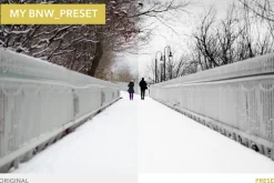[SALE] 5 Retro Lightroom 4+ Presets