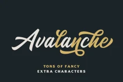 SALE | The Bestseller's Font Bundle
