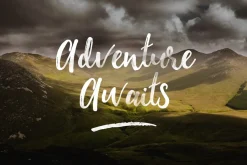 SALE | The Bestseller's Font Bundle