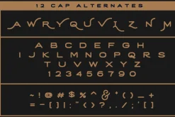 SALE | The Bestseller's Font Bundle