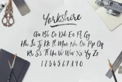 SALE | The Bestseller's Font Bundle