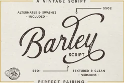 SALE | The Bestseller's Font Bundle