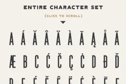 SALE | The Bestseller's Font Bundle