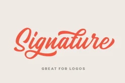 SALE | The Bestseller's Font Bundle