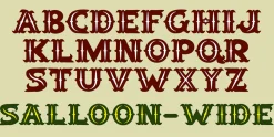 Salloon