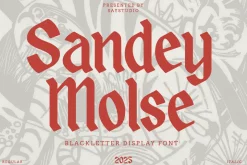 Sandey Molse - Blackletter Display