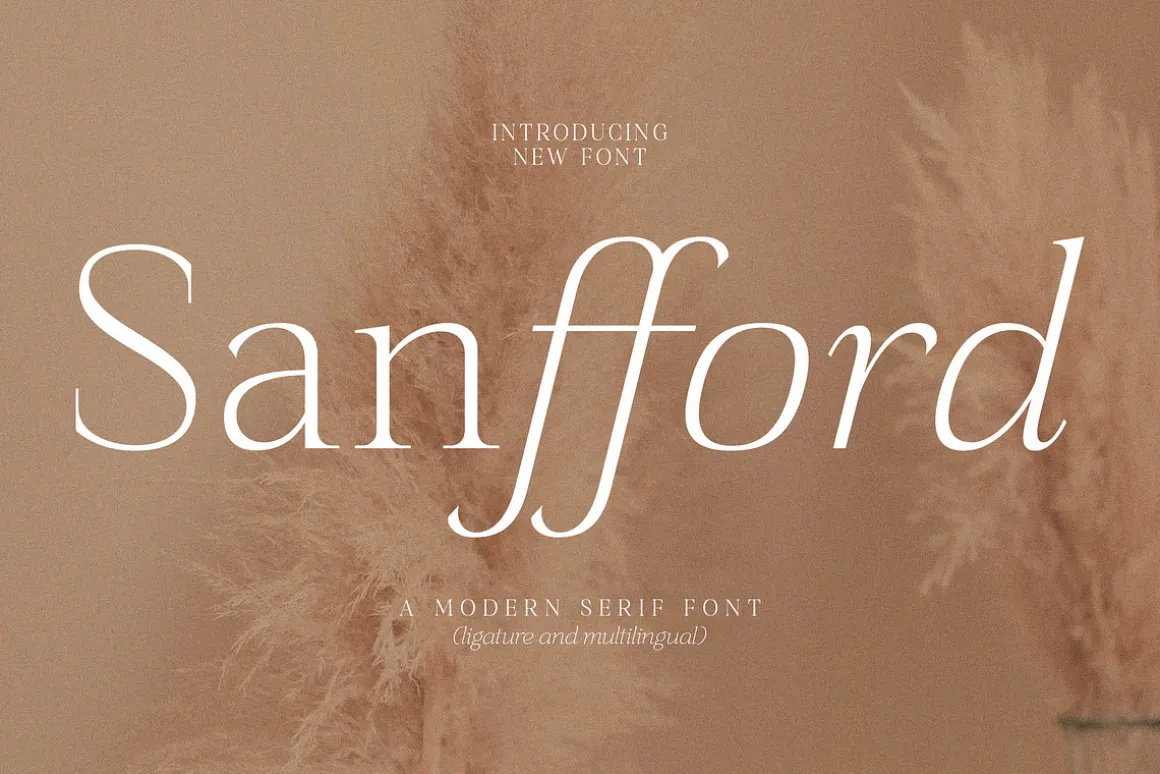 Sanfford A Modern Serif Font