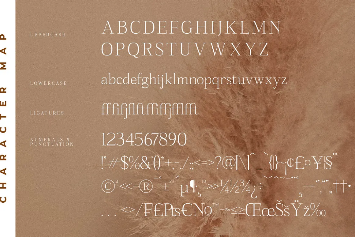 Sanfford A Modern Serif Font