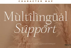 Sanfford A Modern Serif Font