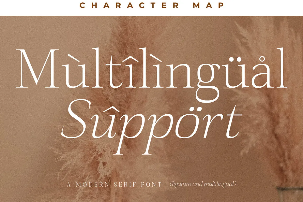 Sanfford A Modern Serif Font