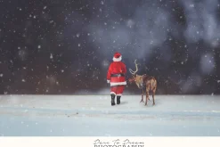 Santa PNG Overlays 11 - Santa Bits