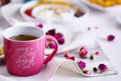 Saturday Script Brush Font