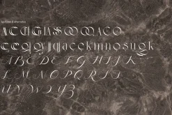 Saveya Elegant Font