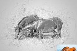 Scribble Drawing Photoshop Action