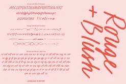 Script Font Duo Rouge +Blush