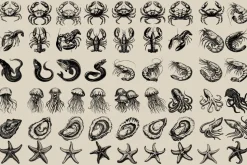 340 Sea Creatures illustrations