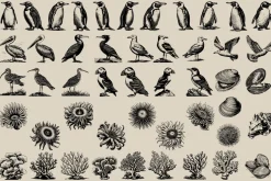 340 Sea Creatures illustrations