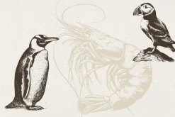 340 Sea Creatures illustrations