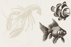 340 Sea Creatures illustrations