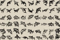 340 Sea Creatures illustrations