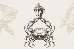 340 Sea Creatures illustrations