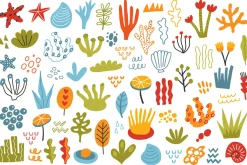 Sea life collection