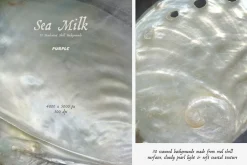 Sea Milk: Sheashell Backgrounds