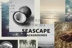 SEASCAPE Line, Seashells & Textures