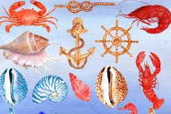 Seashell Nautical Watercolor Clipart