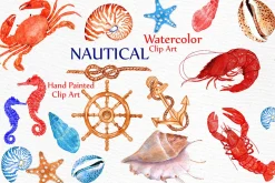 Seashell Nautical Watercolor Clipart