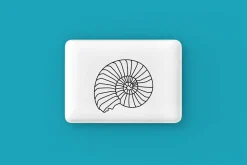 Seashell Silhouette